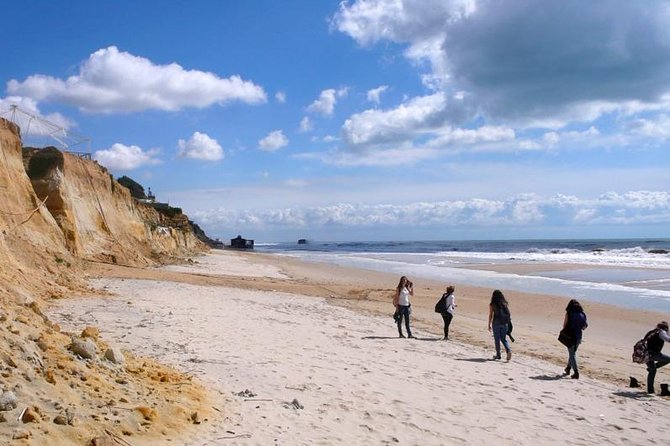 Excursion to the Beaches of Huelva From Seville - Private Tour - Meeting Point and Start Time