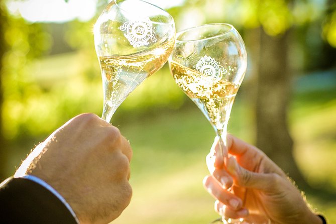 Excursion to the Champagne Region and Wine Tasting - Sampling Local Cuisine and Delicacies