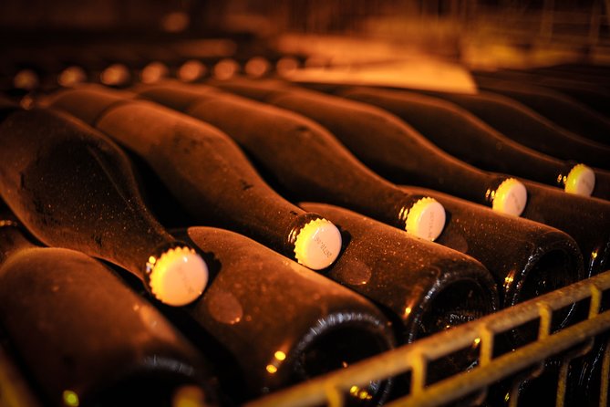 Excursion to the Champagne Region and Wine Tasting - Breathtaking Scenery and Charming Villages