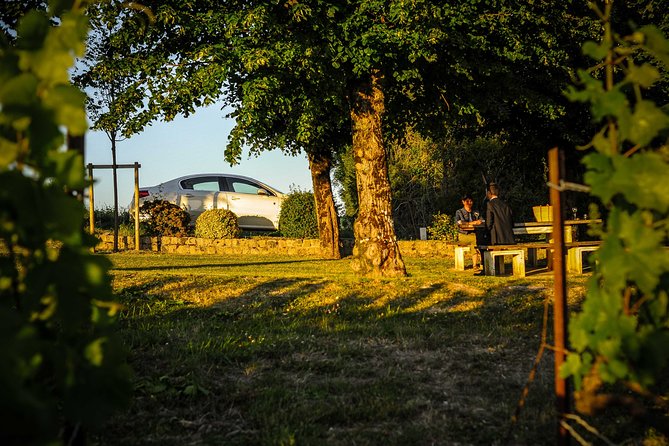 Excursion to the Champagne Region and Wine Tasting - Transportation and Pickup Information