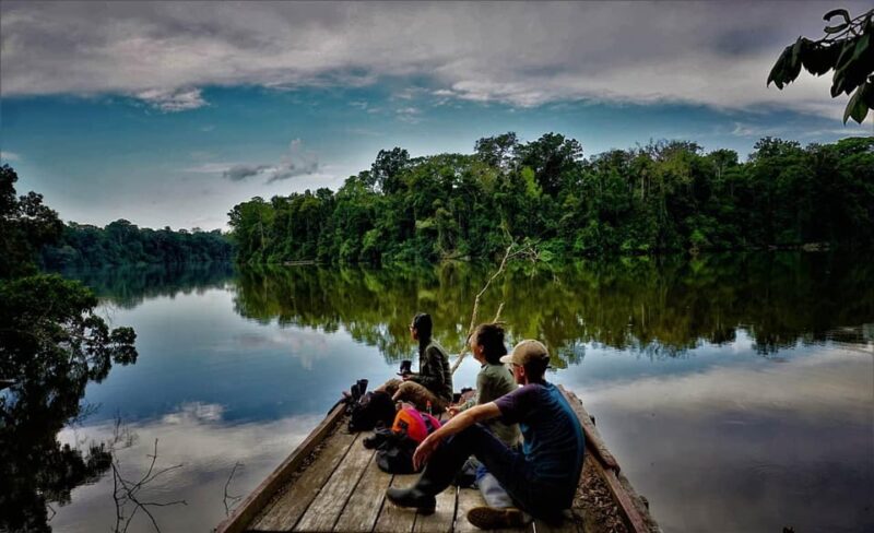 Excursion to the Manu Jungle 6 Days - Río Negro and Treehouse Inn