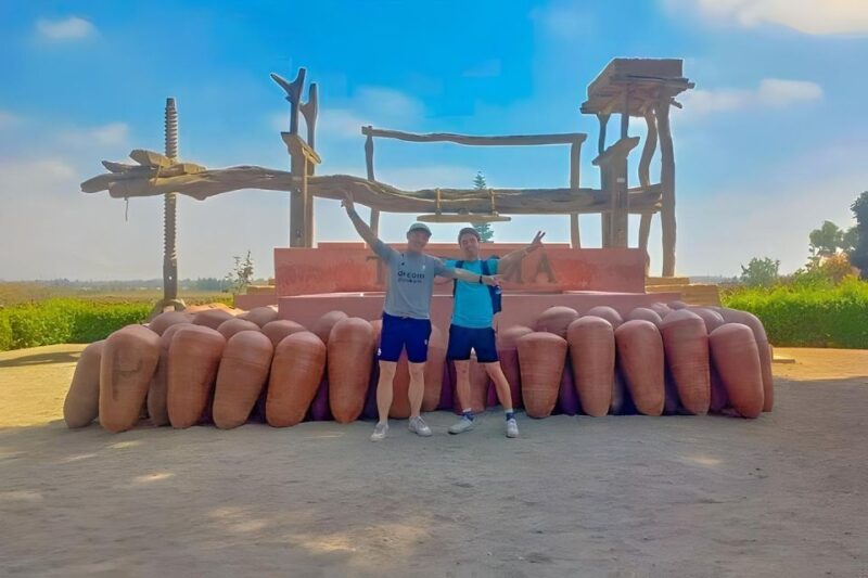 Excursion to the Pisco and Wine Distilleries - Highlights and Experiences