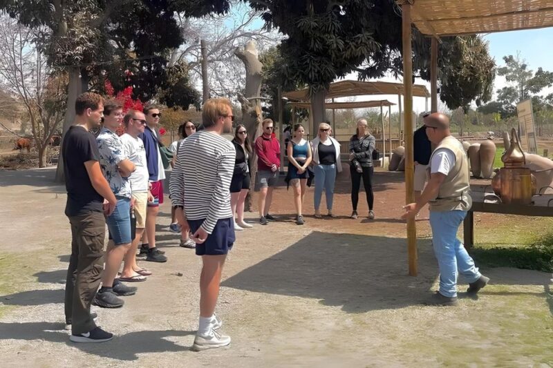 Excursion to the Pisco and Wine Distilleries - Inclusions and Additional Information
