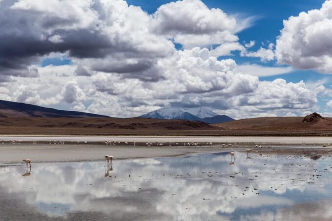 Excursion to the Salar De Uyuni and Overnight Bus Ride - Recap