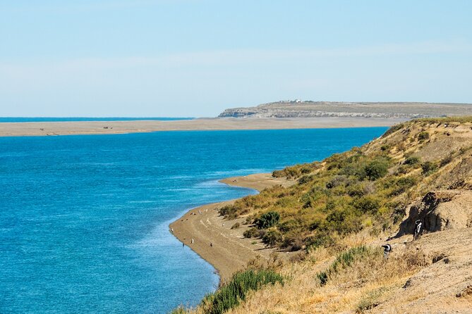 Excursion to the Valdés Peninsula From Puerto Madryn - Key Points