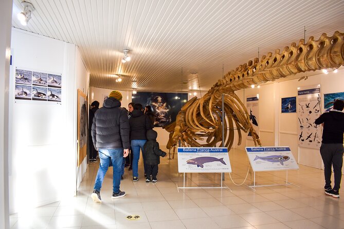 Excursion to the Valdés Peninsula From Puerto Madryn - Highlights of the Excursion