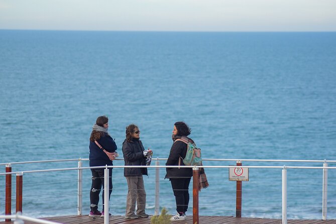Excursion to the Valdés Peninsula From Puerto Madryn - Brunch and Refreshments