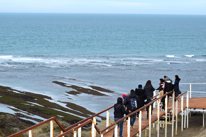 Excursion to the Valdés Peninsula From Puerto Madryn - Booking and Cancellation Policy