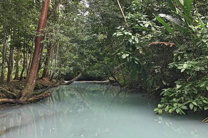 Excursion to the Waterfalls of Villaluz and the Magic Town of Tapijulapa - Accessibility and Restrictions