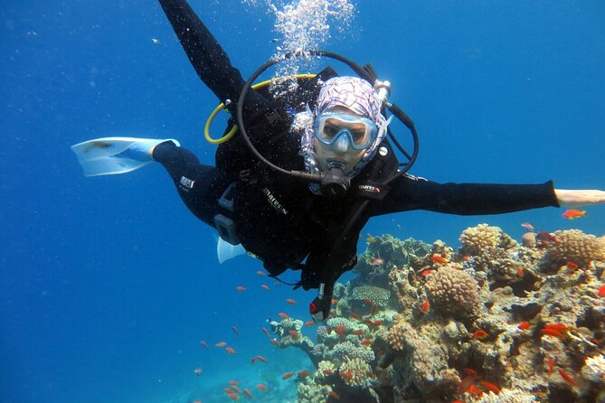Excursion to Tiran Island by Boat - Group Size