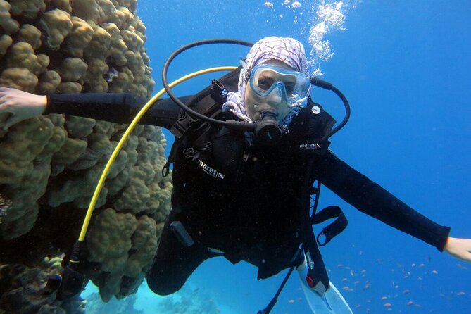 Excursion to Tiran Island by Boat - Cancellation Policy