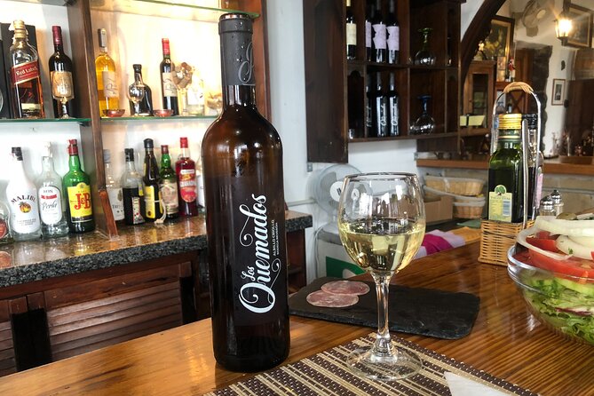 Excursion Visiting Wineries in Tenerife With Lunch - Visiting the Aloe Vera Farm