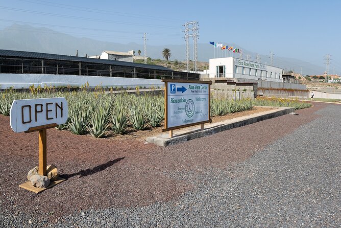 Excursion Visiting Wineries in Tenerife With Lunch - Finca Las Margaritas