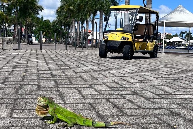 Excursions and Visits Everywhere in Martinique - Exploring Martiniques Local Attractions