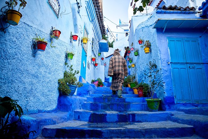 Excursions From Fez to Chefchaouen - Accessibility and Participation