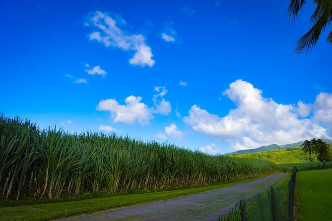 Excursions in the North or in the South of Martinique - Excursions in the North