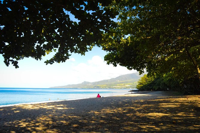 Excursions in the North or in the South of Martinique - Choosing Your Excursion