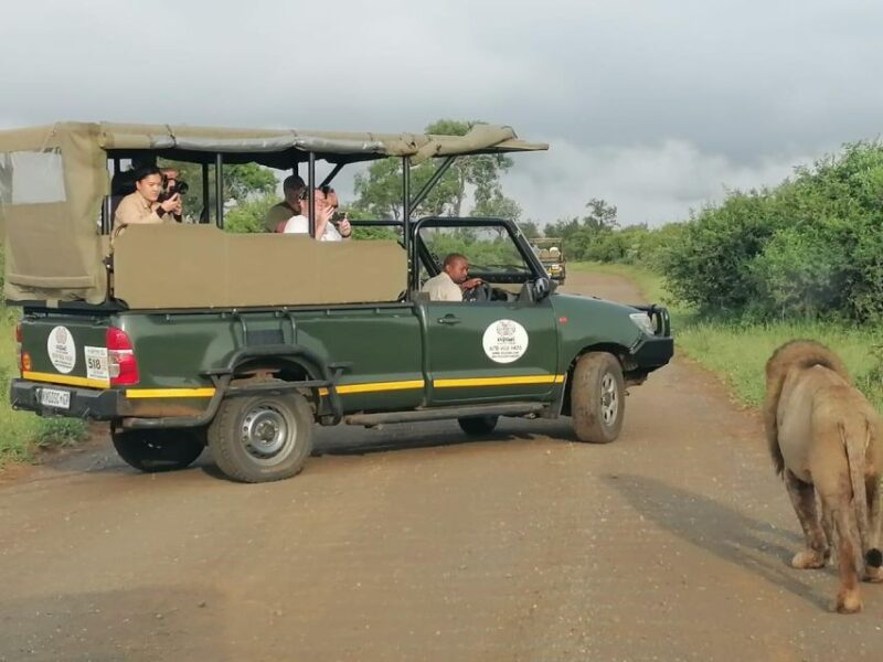 Exhilarating 2 Day Kruger Safari From Nelspruit - Spotting the Big Five