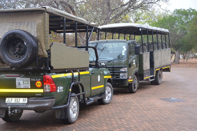 Exhilarating 7 Day Kruger Safari Adventure - South to North - Wildlife Encounters