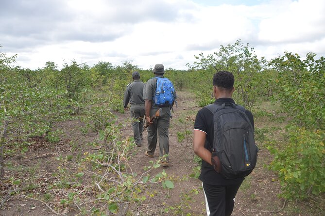 Exhilarating 7 Day Kruger Safari Adventure - South to North - Safety and Guidelines