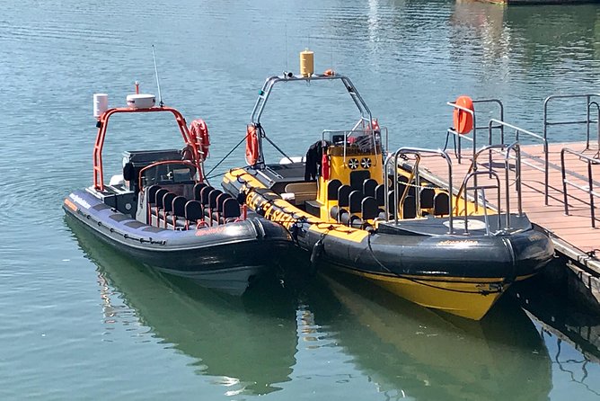 Exhilarating Rib Experience - Dingle Sea Safari - Booking and Cancellation Policy