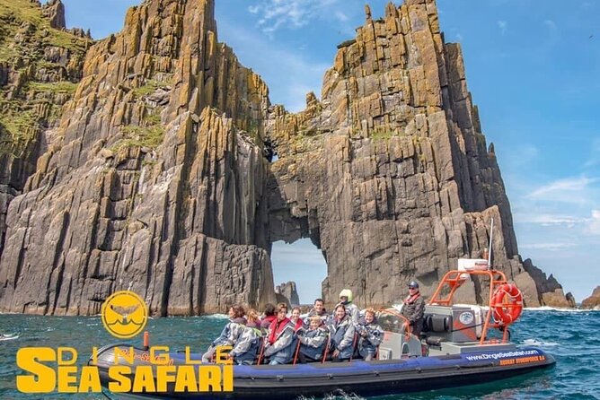 Exhilarating Rib Experience - Dingle Sea Safari - Immersive Wildlife Encounters