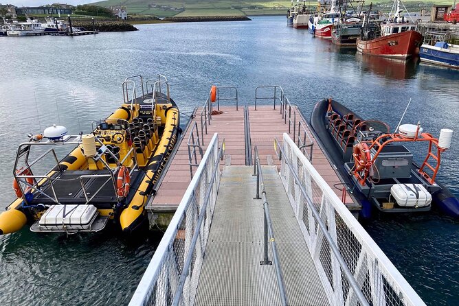 Exhilarating Rib Experience - Dingle Sea Safari - Exhilarating Rib Ride Experience