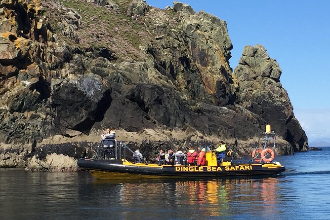 Exhilarating Rib Experience - Dingle Sea Safari - Exceptional Customer Reviews