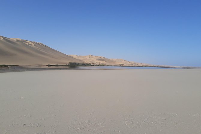 Exhilarating Sandwich Harbour 4x4: Guided Self Drive Experience - Wildlife Spotting Along the Beach