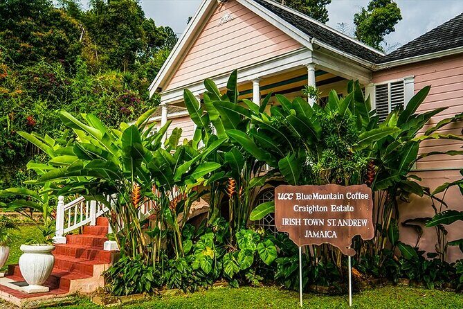 Exotic Blue Mountain Coffee Tour - Key Points