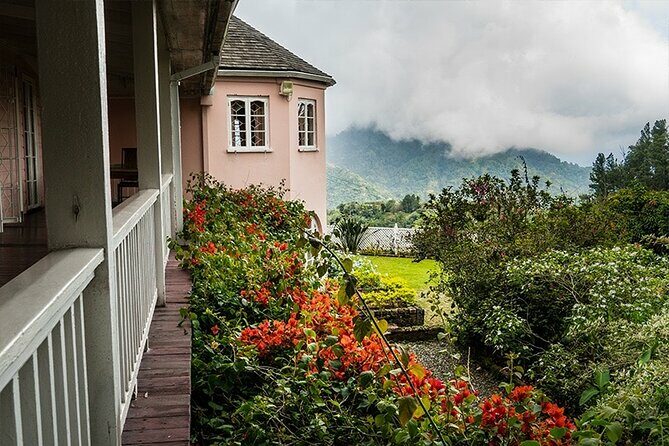 Exotic Blue Mountain Coffee Tour - FAQ
