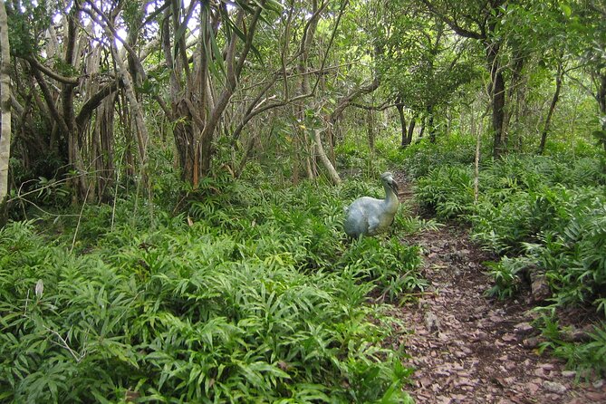 Exotic East of Mauritius: Full-Day Incl Ile Aux Aigrette & Blue-Bay Marine Park - Exploring Ile Aux Aigrettes