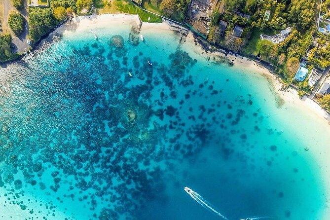 Exotic East of Mauritius: Full-Day Incl Ile Aux Aigrette & Blue-Bay Marine Park - Traveler Reviews and Feedback