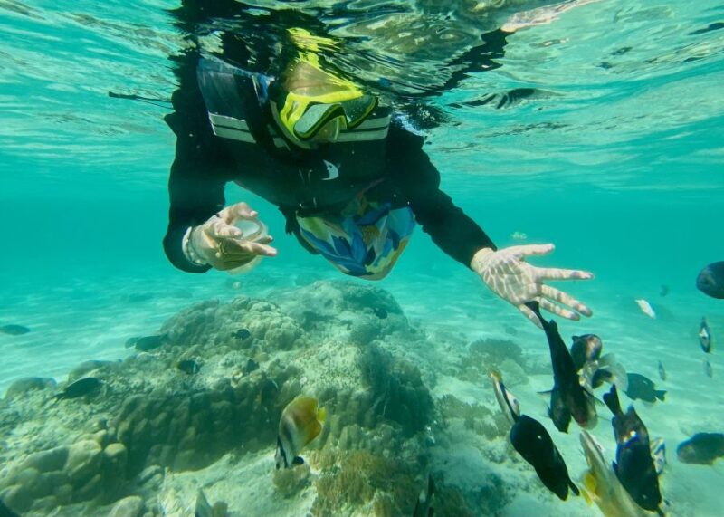 Exotic Escape Island : Pink Beach and Snorkeling Daily Tour - Free Cancellation