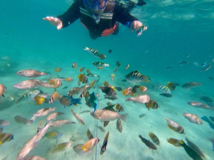 Exotic Escape Island : Pink Beach and Snorkeling Daily Tour - Frequently Asked Questions