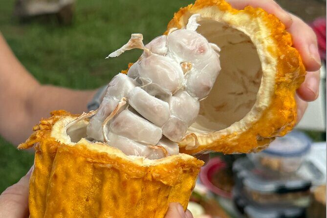 Exotic Fruit Tasting Tour in Kona - The Sum Up