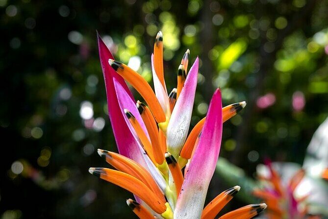 Exotic Garden EN Rancho Ecoturístico - Practical Details and Logistics