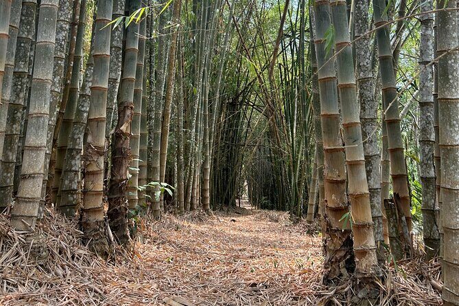 Exotic Garden EN Rancho Ecoturístico - Who Will Love This Tour?