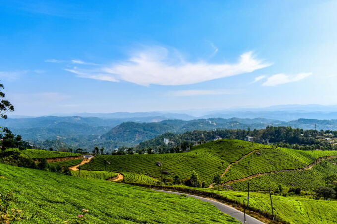 Exotic Kerala Backwater Tour - Cancellation Policy