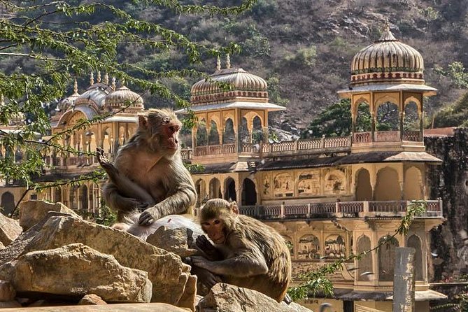 Exotic Rajasthan Tour A Sum of Desert and Lakes - Good To Know