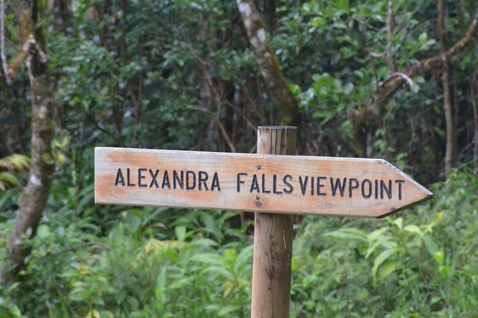 Exotic South: Journey Into the Nature (Full-Day Tour Incl Lunch & Ebony Forest) - Practical Tips and Recommendations