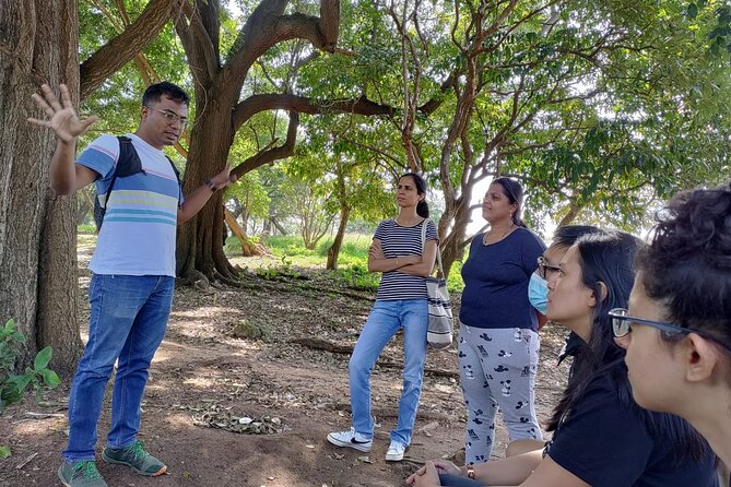 Exotic Trees of Lalbagh - Discovering Lalbaghs Enchanting Landscapes