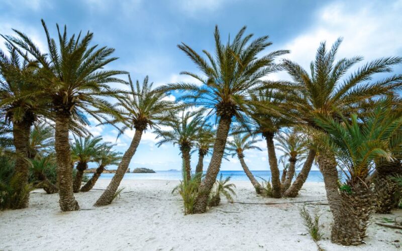 Exotic Vai Palm Beach, Toplou Monastery & Sitia Town - Itinerary Highlights