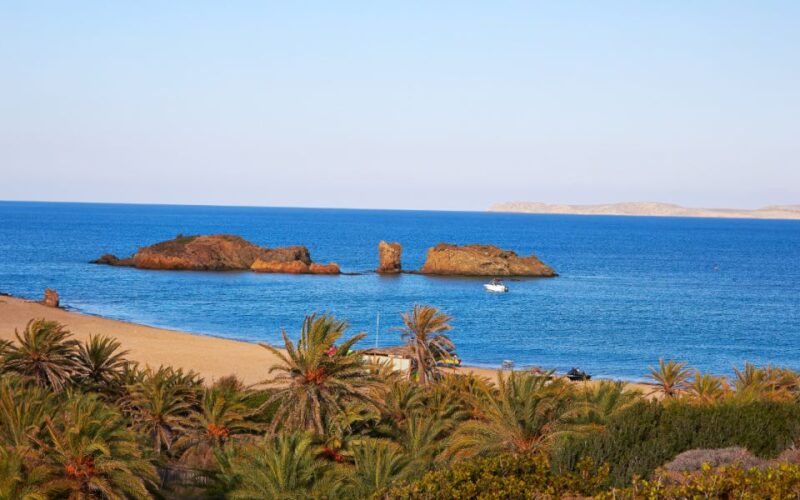 Exotic Vai Palm Beach, Toplou Monastery & Sitia Town - Vai Palm Beach