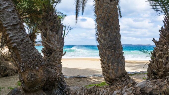 Exotic Vai Palm Beach, Toplou Monastery & Sitia Town - Included in the Tour
