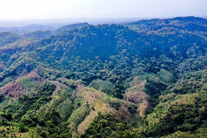 Exotic Wildlife and Birdwatching Safari at Parrot Foundation - Health and Accessibility Considerations