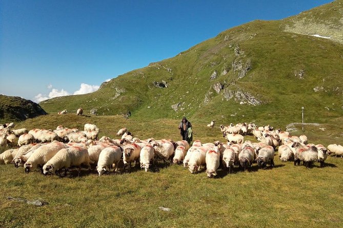Expedition in Fagaras Mountains From Brasov (Private Tour!) - Inclusions