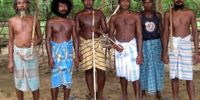 Expedition to an Indigenous Rainforest Haven - Key Points