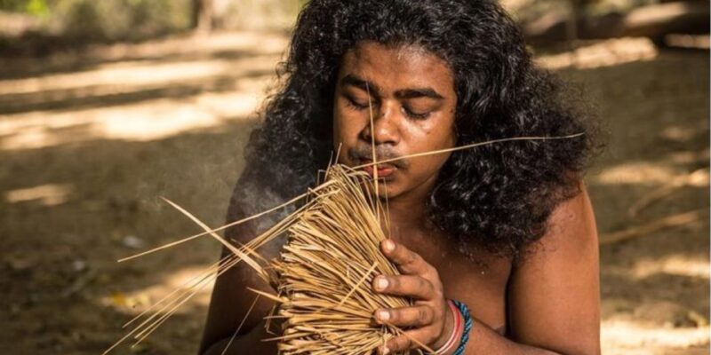 Expedition to an Indigenous Rainforest Haven - Itinerary Details