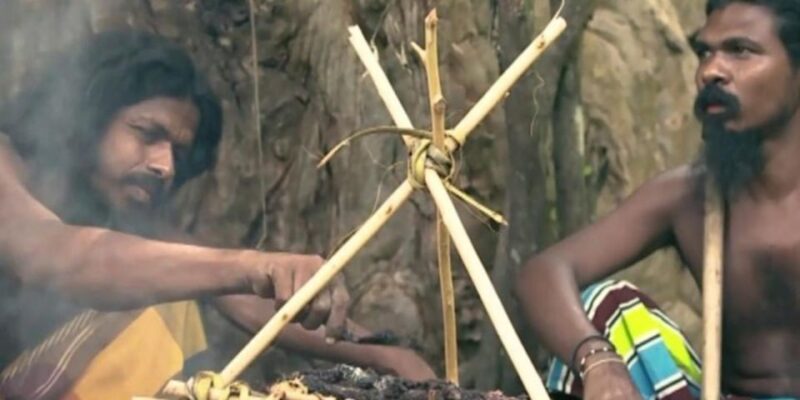 Expedition to an Indigenous Rainforest Haven - Visitor Information